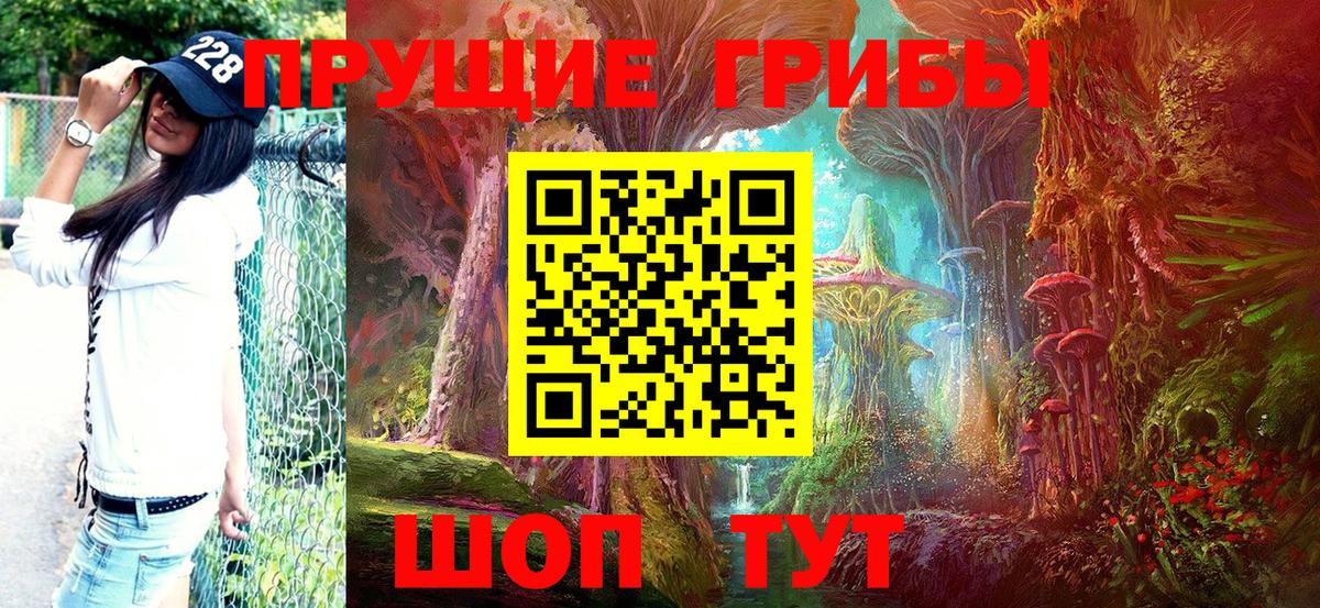 Псилоцибиновые грибы мухоморы Махачкала