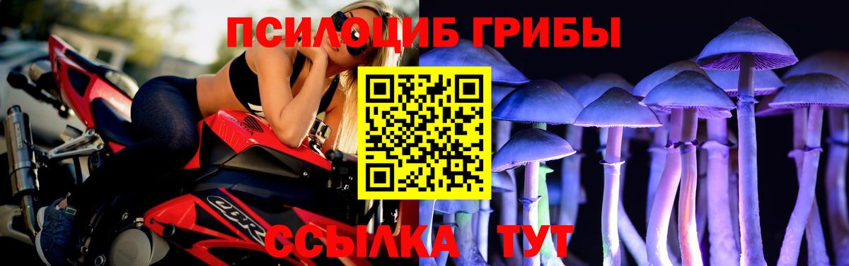 Псилоцибиновые грибы Cubensis  Вход с VPN  Махачкала 